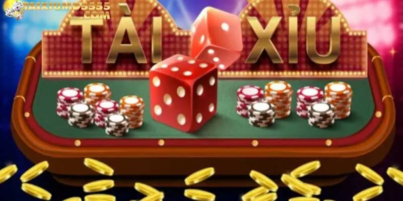 Tất Tần Tật Về Tài Xỉu Md5 Rikvip Cho Người Chơi Mới 2025